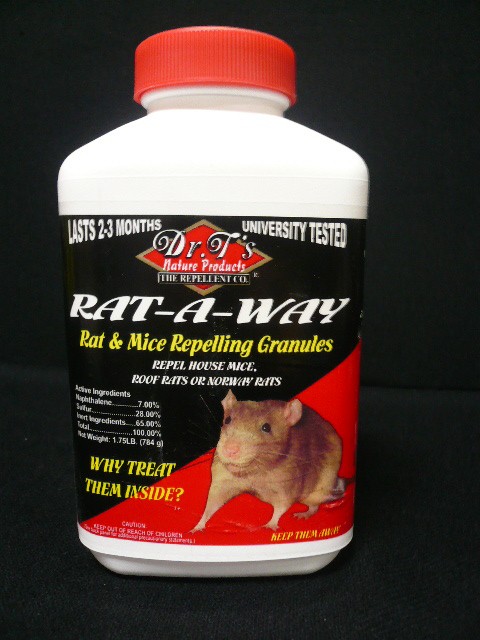 away rat mouse