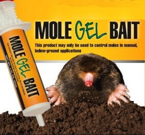 MOLE GEL BAIT