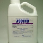 PT-370 ASCEND 2 LB