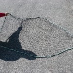 THROW NET 6" WITH 2INCH OPENINGS