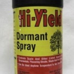 DORMANT OIL 16 OZ