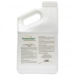 EVERGREEN 32 OZ 6%