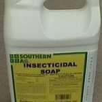 INSECTICIDAL SOAP GAL