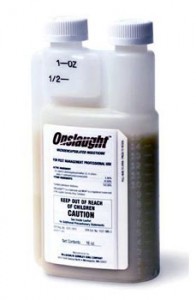 ONSLAUGHT