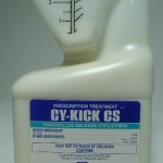 PT-CYKICK CS 16 OZ