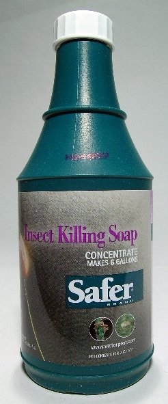 INSECTICIDAL SOAP