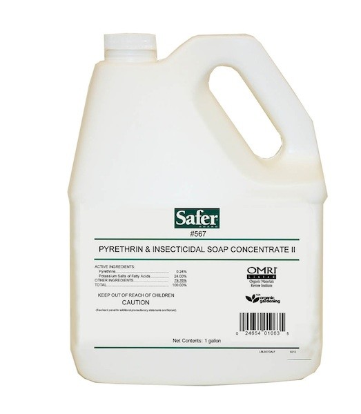 MULTIPURPOSE INSECT KILLER 567