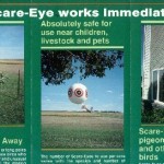 SCARE EYE CHASER