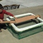 TURTLE SUNNING TRAP ECO