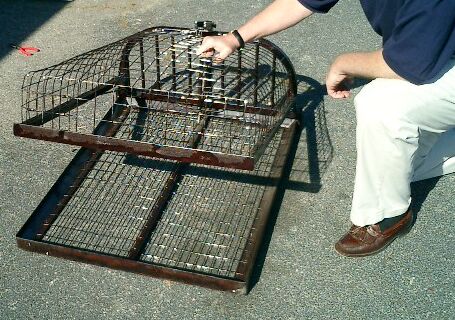 https://www.bugspraycart.com/wp-content/uploads/traps/cage/beaver-easy-set-15-x-29-x-36/822025.jpg