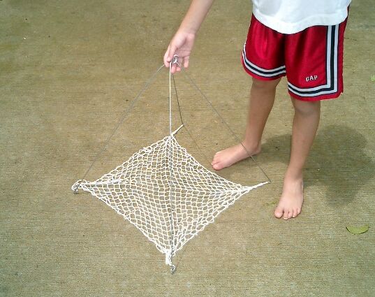 CRAYFISH NET TRAP