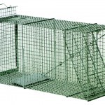 LIVE TRAP 15" X 18" X 42" REAR DOOR