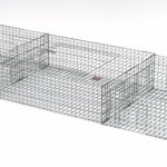 PIGEON 8" X 24" X 84"