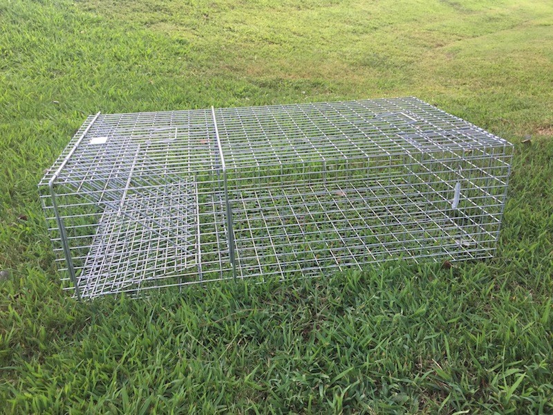 Size regular Turtle Traps 5 trap package Without stretch sticks 