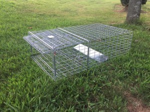 TURTLE LIVE TRAP