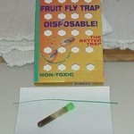 FRUIT FLY BOX TRAP SPRINGSTAR