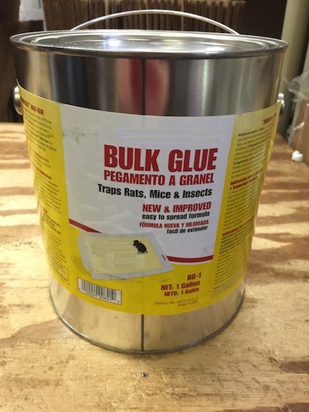 https://www.bugspraycart.com/wp-content/uploads/traps/glue/bulk-glue-gallon/IMG_1378.jpg