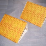 CLOTHES MOTH TRAPS - 2 PACK