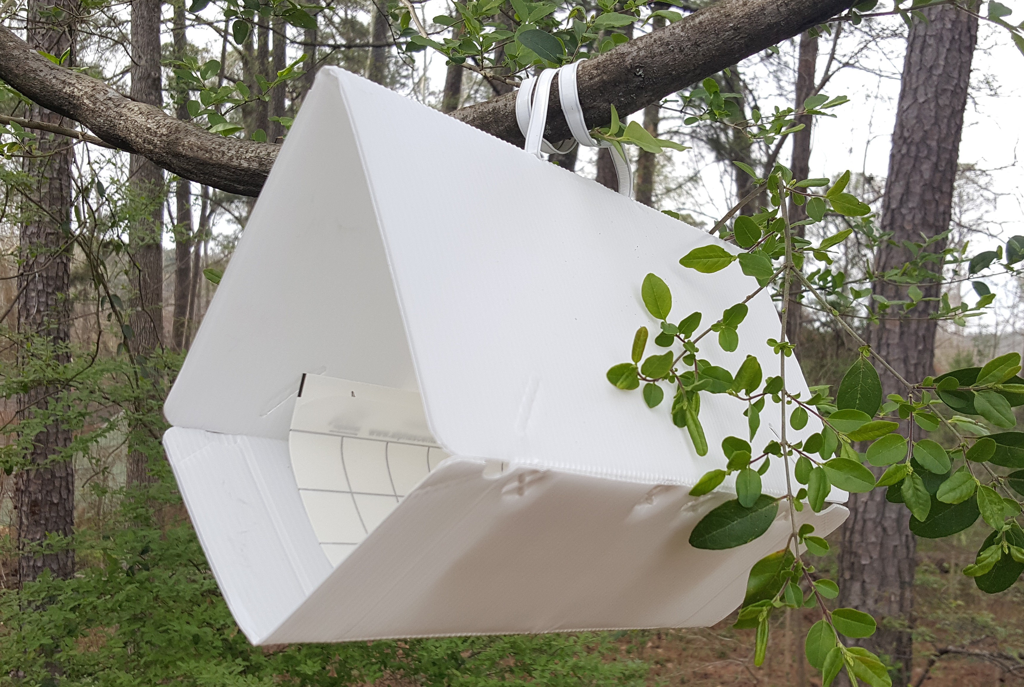 https://www.bugspraycart.com/wp-content/uploads/traps/pheromone-and-food/gypsy-moth-trap-jumbo/Gypsy-Moth-Trap-White.jpg