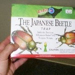 JAPANESE BEETLE TRAPS