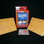 MEAL MOTH 2 PK - BOX
