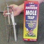 MOLE SPEAR