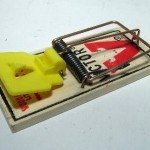MOUSE TRAP EXPANDED TRIGGER