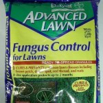 BAYLETON GRANULES