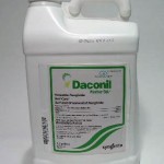 DACONIL 54% FL 2.5 GAL