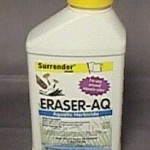 ERASER AQUATIC QUART 53.8%