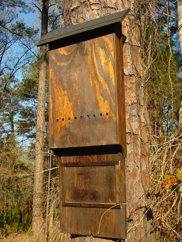 BAT HOUSE 2 CHAMBER 48 X 18 X 4 