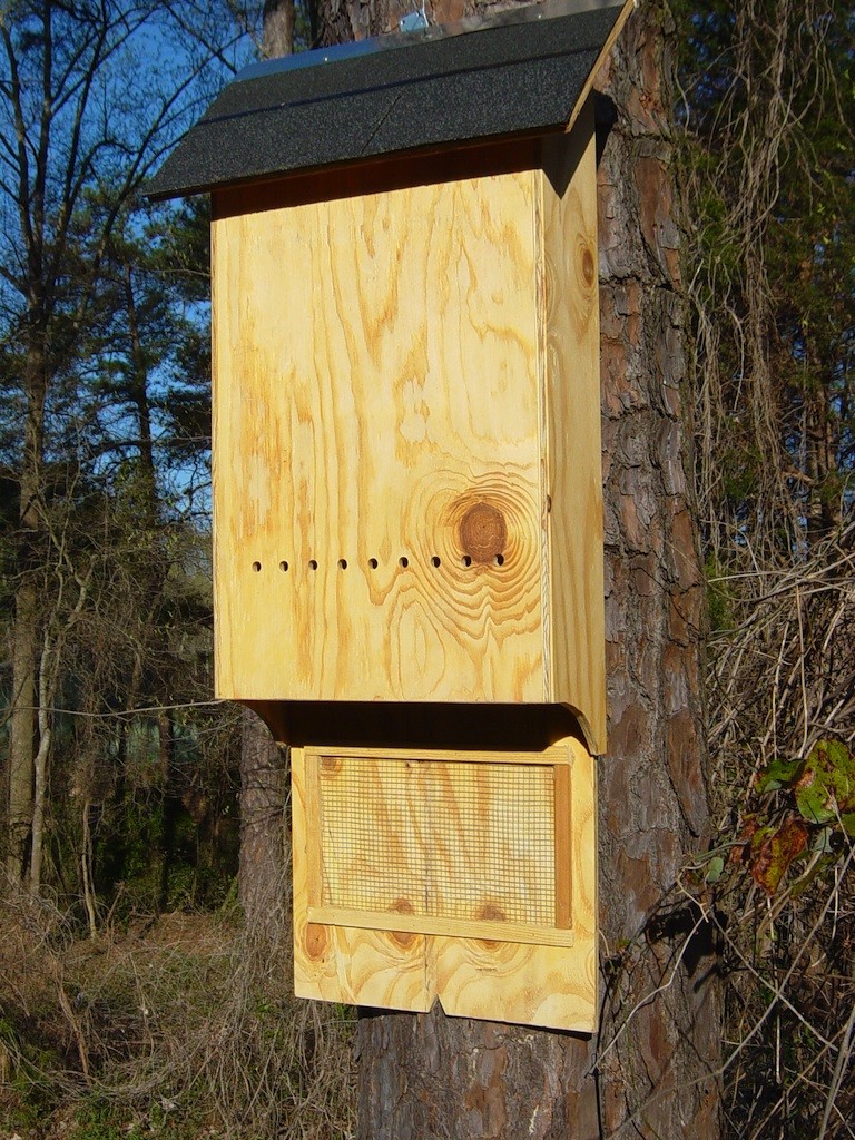 BAT HOUSE 2 CHAMBER 48" X 18" X 4"