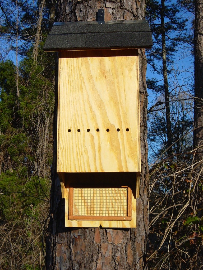 bat houses