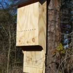 4 Chamber Large Bat House Unfinished (ITEM # 954334)