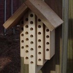 MASON BEE HOUSE